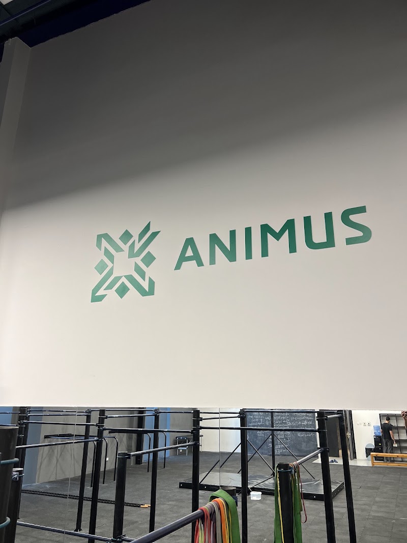 Animus Sports Complex Saar – Apartments for Rent